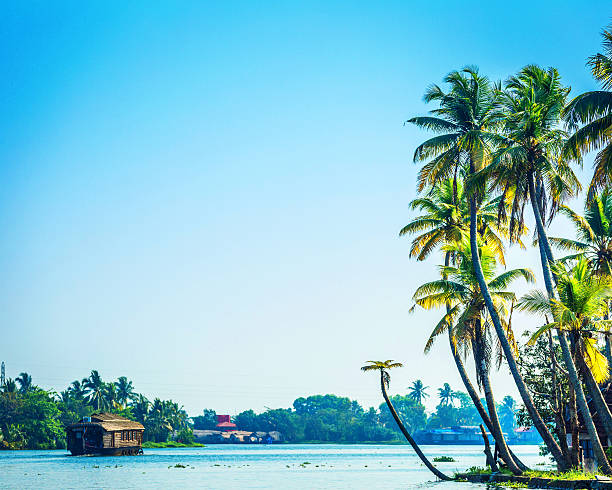 istock Traditional Houseboat on Kerala Backwaters 499308112