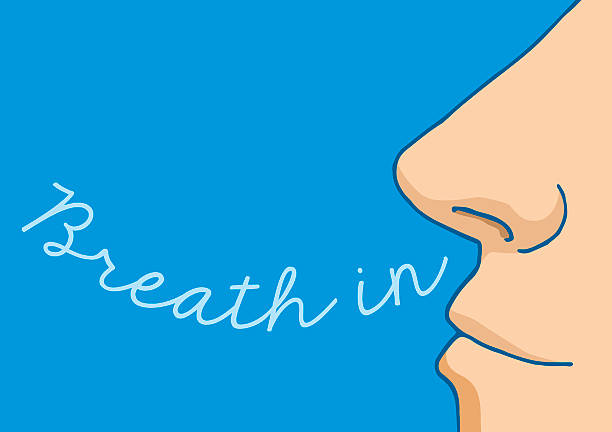 Cartoon nose breathing in word vector art illustration