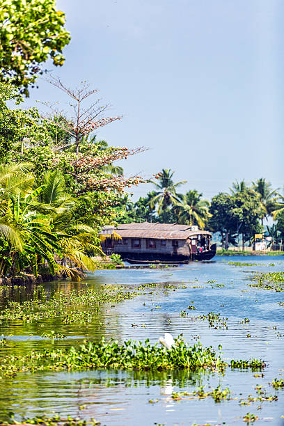 istock Traditional Houseboat on Kerala Backwaters 499310160