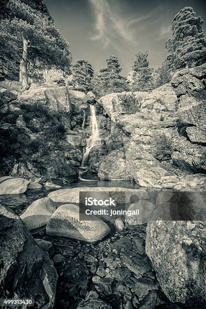 Bw Of Cascade Des Anglais Waterfall Near Vizzavona In Corsica Stock Photo - Download Image Now