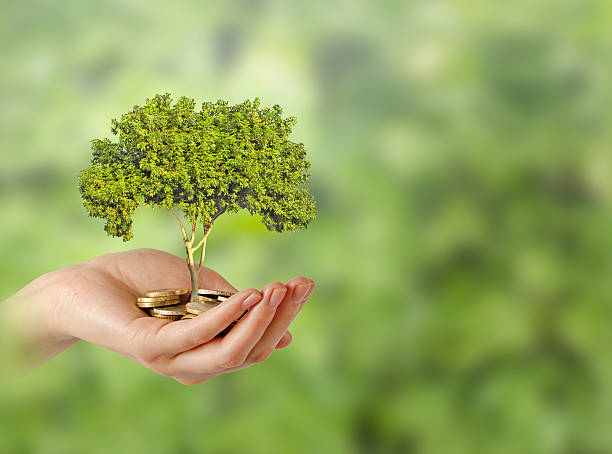 investitionen in green business - ecosavy stock-fotos und bilder