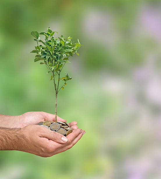 istock Investing to green business 499314300