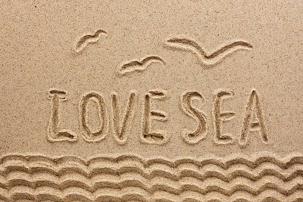istock word  sea  written on the sand 499331093