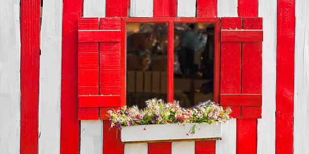 Flowers with red and old wooden window.