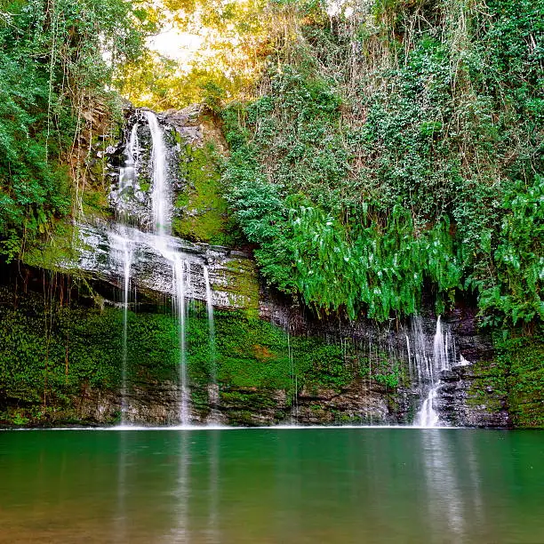 Photo of Waterfall in the forest.