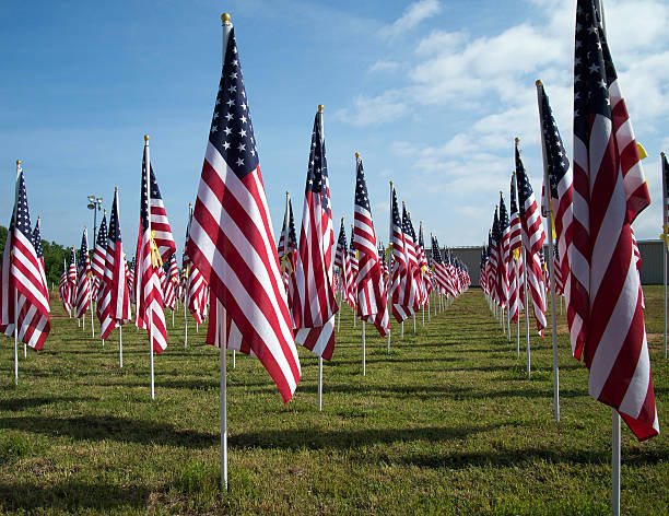 istock Field of American flags 499333233