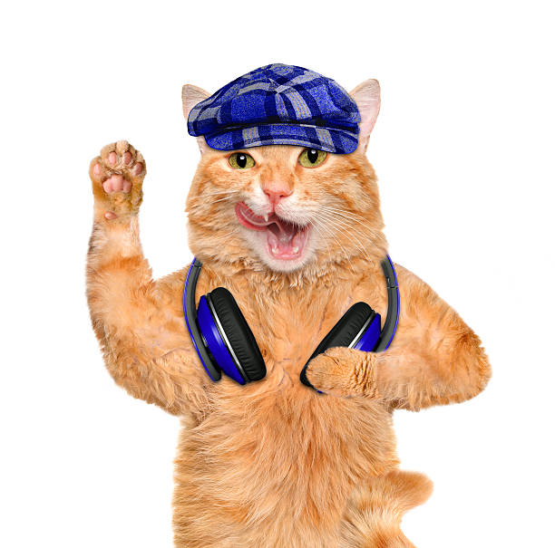 istock Cat headphones. Isolated on white. 499333964
