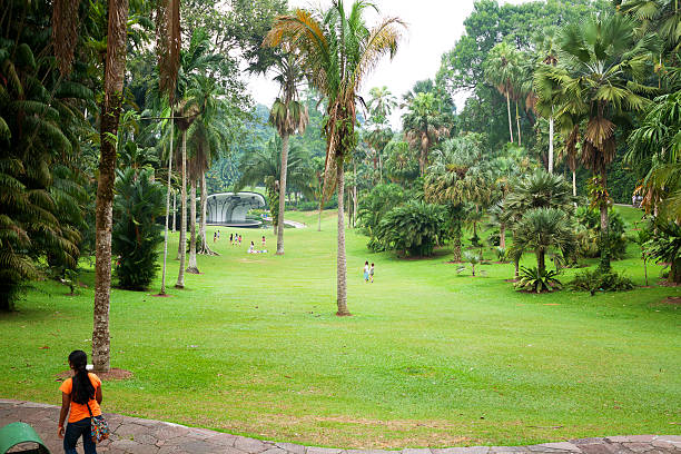 Singapore, Singapore - September 5, 2012: View along valley in Botanical Garden of Singapore. In foreground a woman is walking at left side. In background are many asian people on grass.In center of background is small stage.