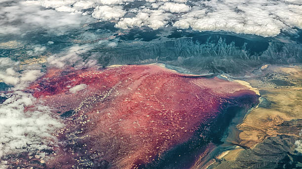 danau natron - danau natron foto potret stok, foto, & gambar bebas royalti
