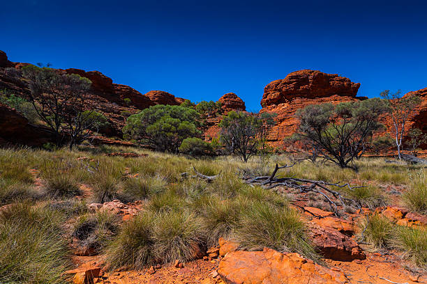 australien, outback-landschaft - watarrka national park stock-fotos und bilder