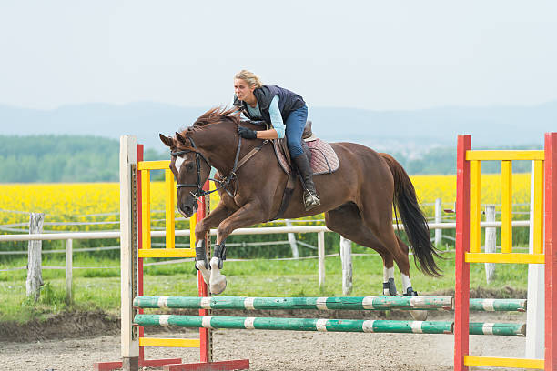 istock girl jumping with horse 499334481