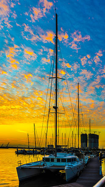 istock Catamaran boats at pier during sunset 499334517