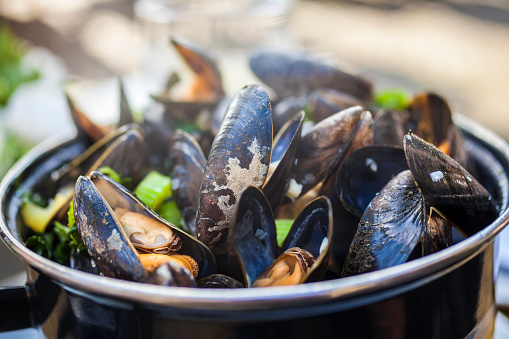 Bowl of fresh mussels moules mariniere