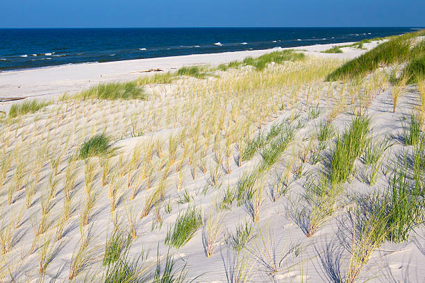 istock Beach landscape at the Baltic sea, Poland. 499335094