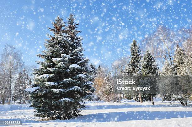 Winter Park Stock Photo - Download Image Now - Backgrounds, Blizzard, Climate