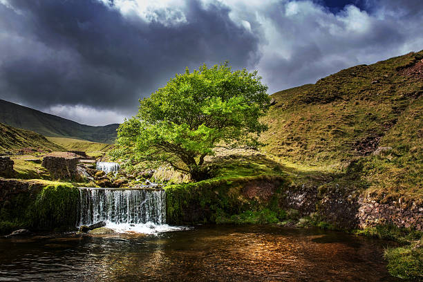 Welsh river on edge of the Brecon Beacons