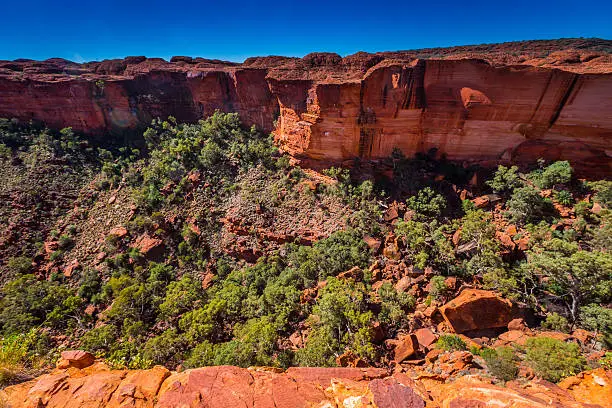 Australia outback landscape with blue sky.