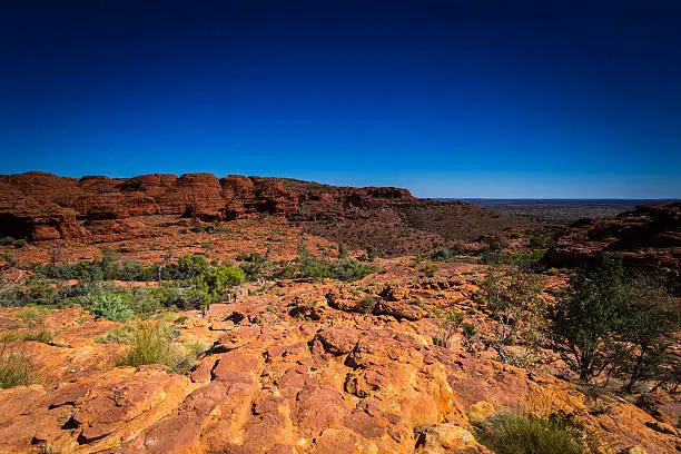 Australia outback landscape with blue sky.
