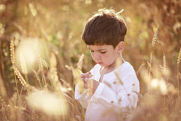 istock child in a field of wheat 499336796