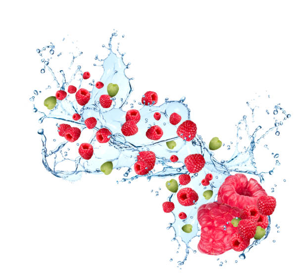 splash