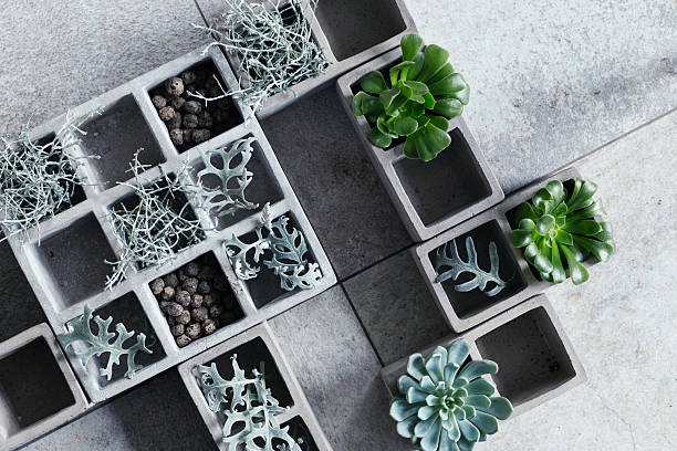 Modern composition with cubical concrete planters and succulents.