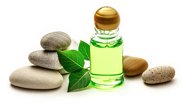 istock Stones, leaves and shampoo bottles 499342652