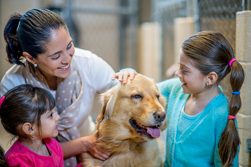 A mother and her daughters are at the pound to adopt a dog. They are petting the dog at the animal shelter.