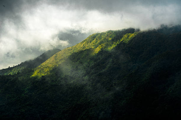istock The sunlight through the mist at the mountain 499343424