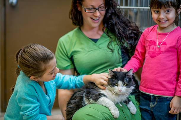 istock Petting a Cat at the Animal Shelter 499345156