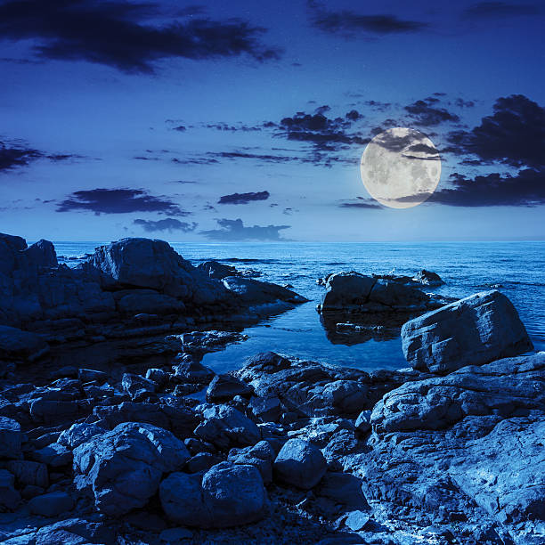 istock calm sea wave on rocky shore at night 499356229