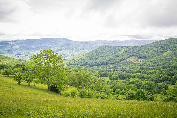 istock Appalachian Hike in the summer 499356347