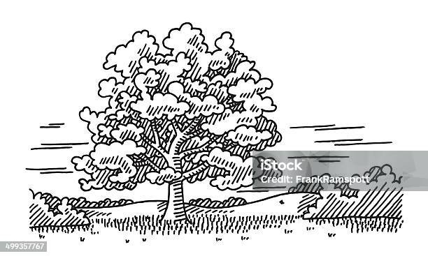 Beautiful Tree Landscape Nature Drawing Stock Illustration - Download Image Now - Landscape - Scenery, Drawing - Art Product, Line Art