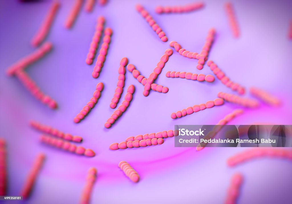 Streptococcus pneumoniae, bakterie Grafika - Zbiór zdjęć royalty-free (Bakteria)