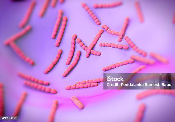 Streptococcus Pneumoniae Bakterie Grafika - zdjęcia stockowe i więcej obrazów Bakteria - Bakteria, Bakterie Gram-dodatnie, Barwienie metodą Grama