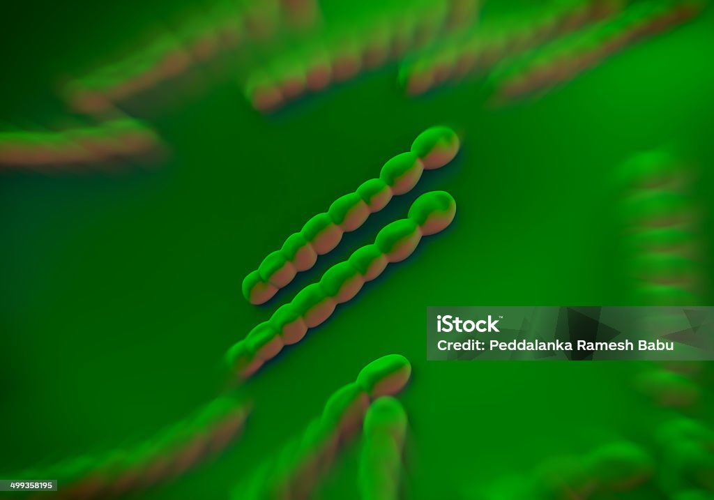 Streptococcus pneumoniae, bacteria artwork Bacterium Stock Photo