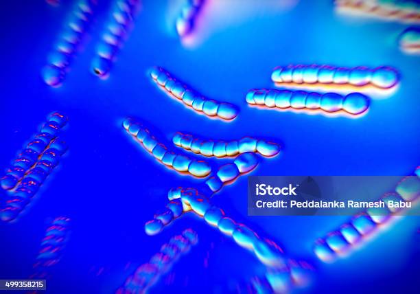 連鎖球菌 Pneumoniae バクテリアアートワーク - 3Dのストックフォトや画像を多数ご用意 - 3D, イラストレーション, ウイルス