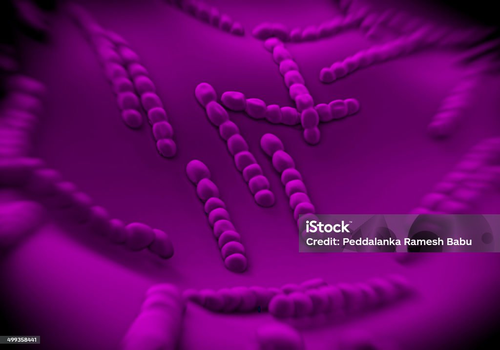 Streptococcus pneumoniae, bacteria artwork Bacterium Stock Photo