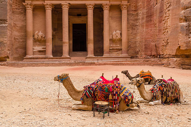 istock Petra. Camels at the Treasury 499360891