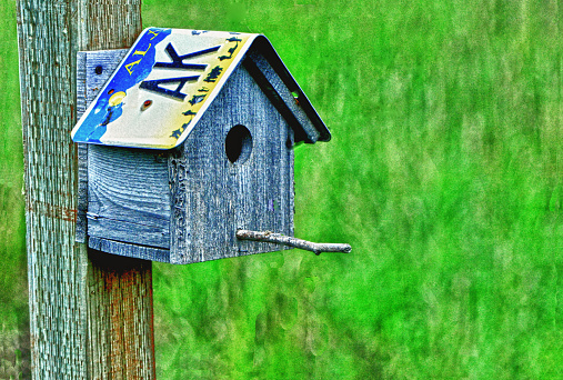 A bird house with an Alaska license plate as the roof.