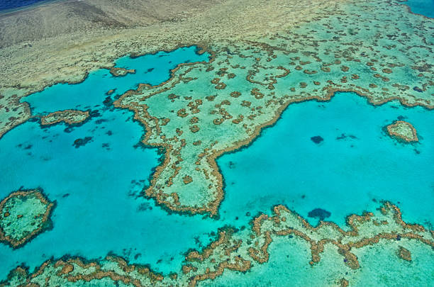 istock Great Barrier Reef - Aerial View 499365054