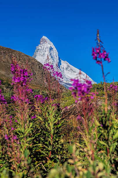 wunderschönen berge in den schweizer alpen matterhorn - clear sky village landscape landscaped stock-fotos und bilder