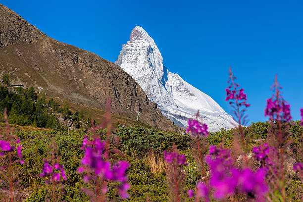 istock Beautiful mountain Matterhorn in Swiss Alps 499365178