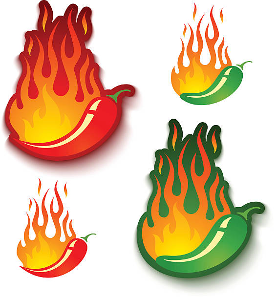 jalapeno und chili peppers im fire - spice symbol green chili pepper stock-grafiken, -clipart, -cartoons und -symbole