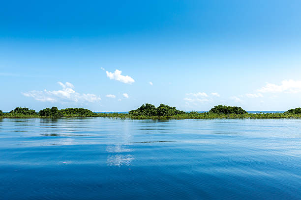 The Amazon Wetland in Brazil