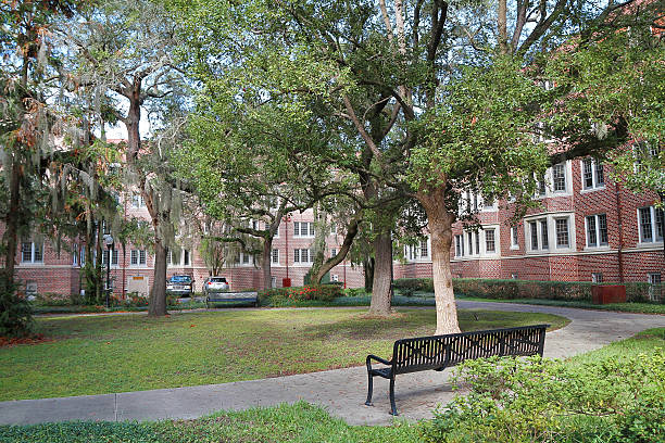 Murphree Hall Student Housing and Courtyard in Gainesville, Florida, USA View of Murphree Hall student housing and courtyard located at the University of Florida in Gainesville, Florida, USA. bromeliad photos stock pictures, royalty-free photos & images