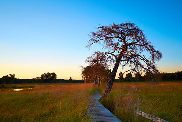 istock Surrey Scenic Autumn Evening 499369286