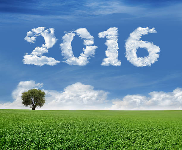 istock New Year 2016 And Field 499371352