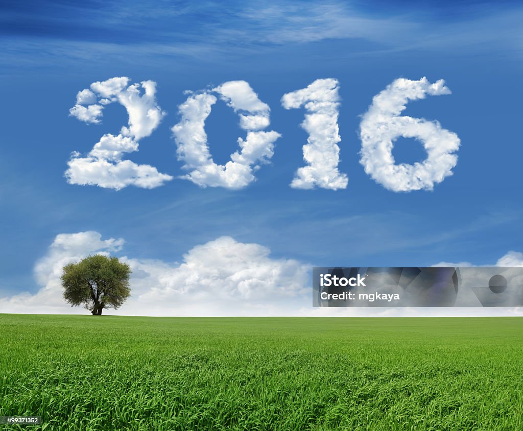 New Year 2016 And Field Lonely tree and green field landscape with clouds in the shape of "2016". (Horizontal version) Cloud - Sky Stock Photo