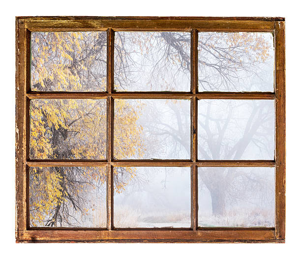 istock foggy autumn park scene 499374702