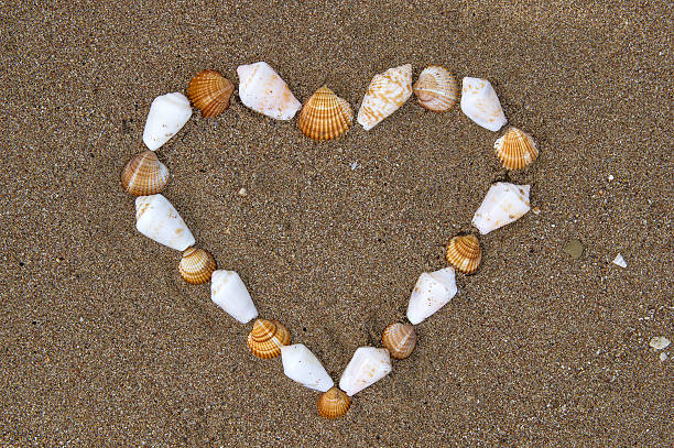istock Seashells on the beach lined in shape of heart 499376116